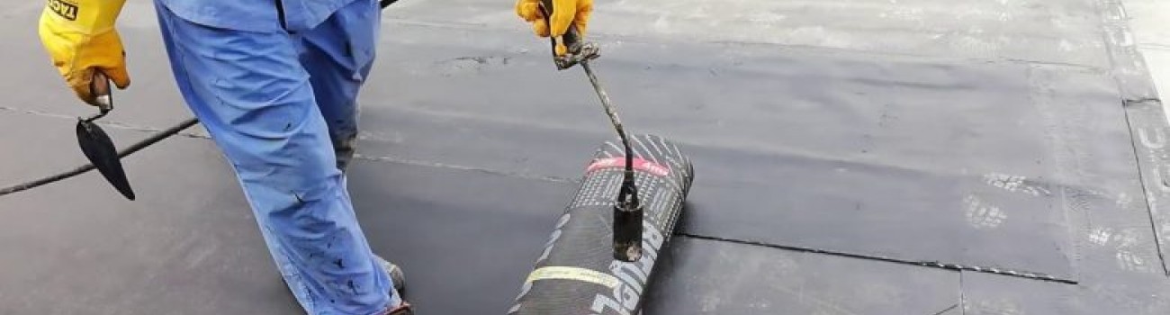 استمتع بواجهة نظيفة ومشرقة